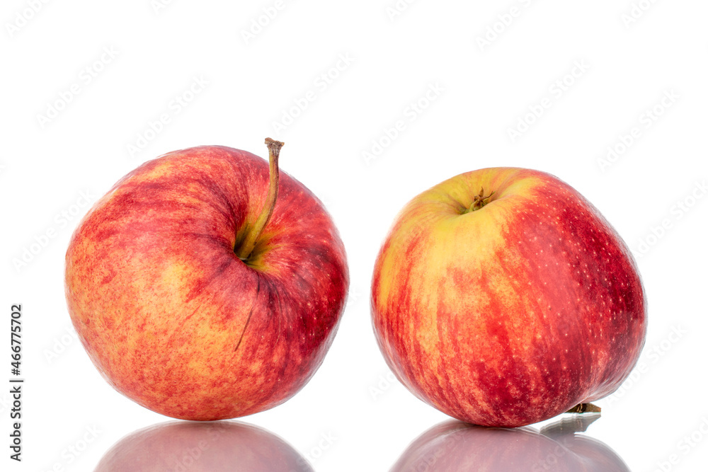 Two juicy red apples, close-up isolated on white. Two juicy red apples, close-up isolated on white.