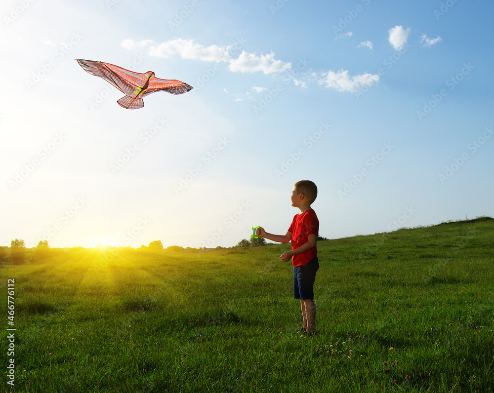 Little boy playing with kite on field Little boy playing with kite on field