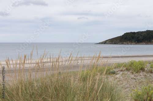 Coastal atlantic quiet beach with a wooded mountain at the right and some blur reeds in the foreground.