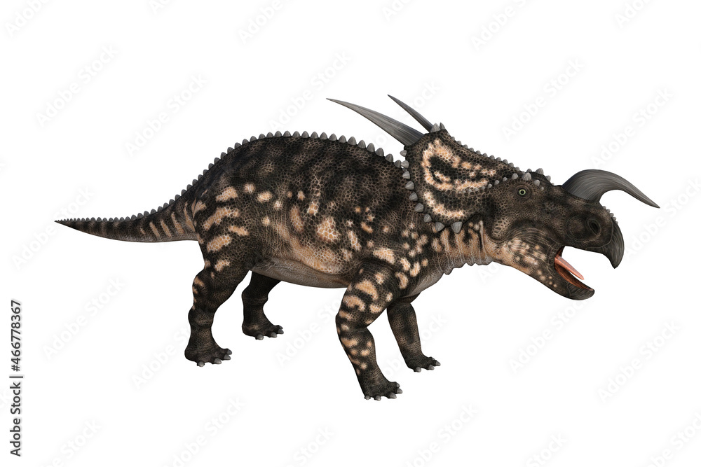 Fototapeta premium Einiosaurus in different angles and poses rendered on white background, 3D rendering illustration.