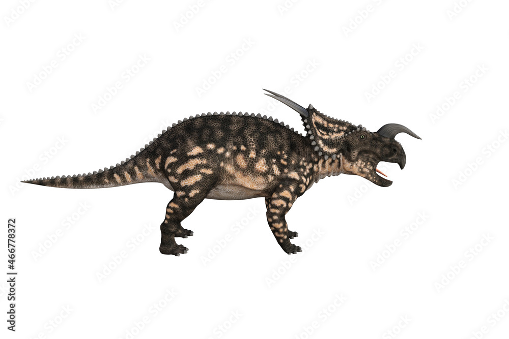 Einiosaurus in different angles and poses rendered on white background, 3D rendering illustration. Einiosaurus in different angles and poses rendered on white background, 3D rendering illustration.