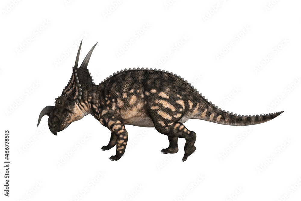 Einiosaurus in different angles and poses rendered on white background, 3D rendering illustration. Einiosaurus in different angles and poses rendered on white background, 3D rendering illustration.