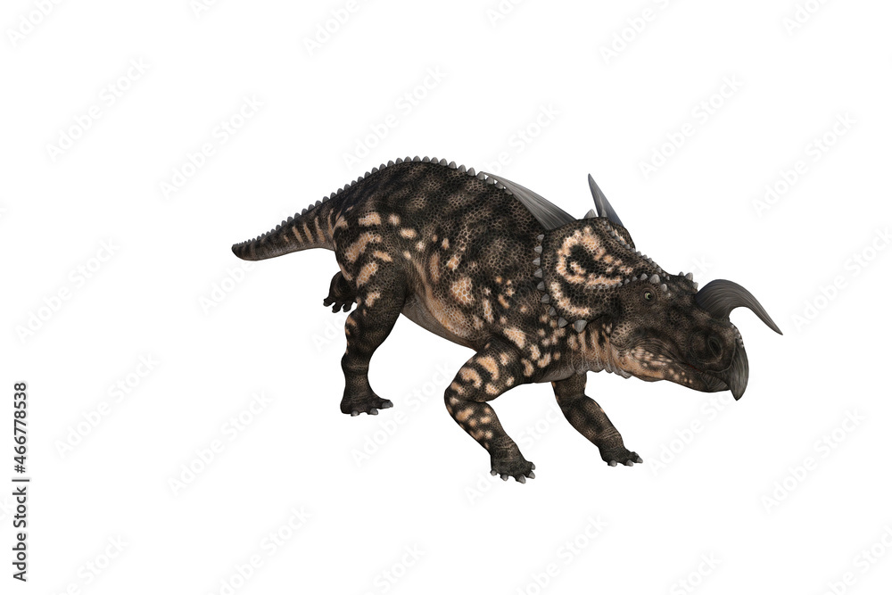 Einiosaurus in different angles and poses rendered on white background, 3D rendering illustration. Einiosaurus in different angles and poses rendered on white background, 3D rendering illustration.