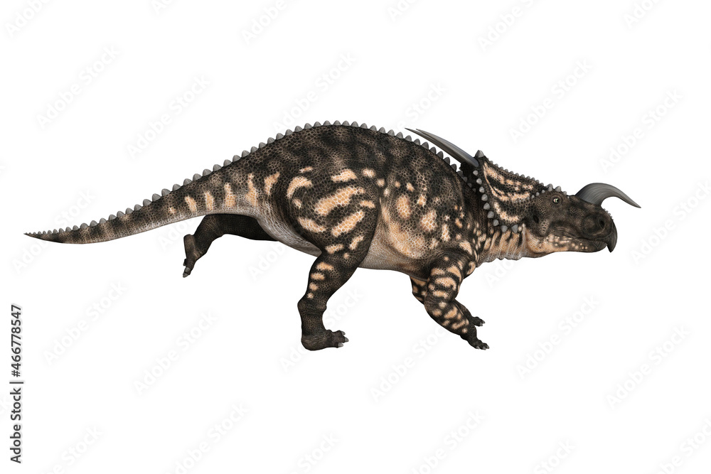 Einiosaurus in different angles and poses rendered on white background, 3D rendering illustration. Einiosaurus in different angles and poses rendered on white background, 3D rendering illustration.