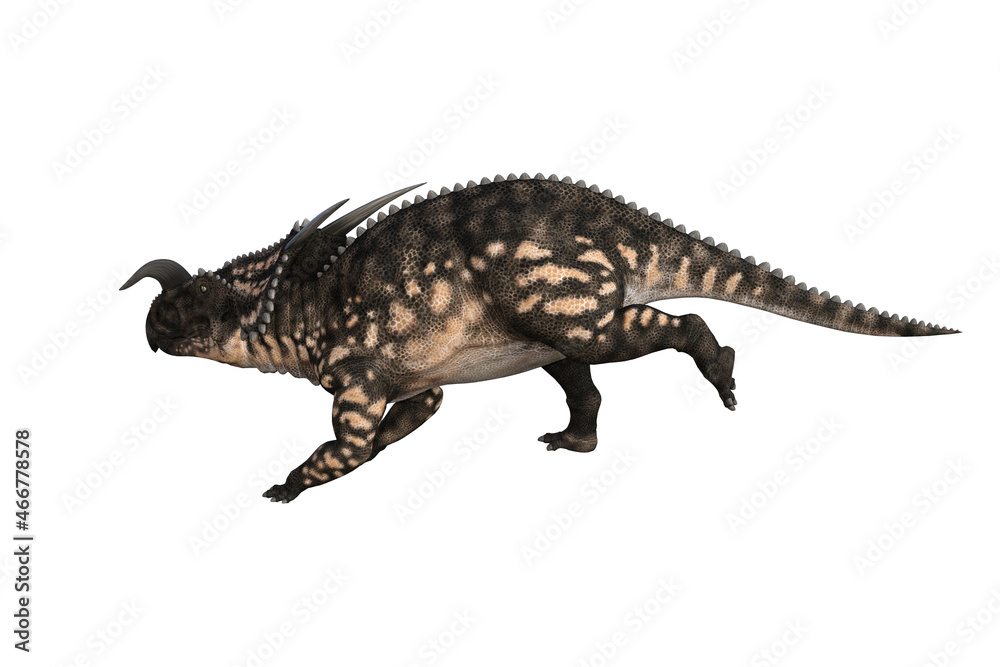 Einiosaurus in different angles and poses rendered on white background, 3D rendering illustration. Einiosaurus in different angles and poses rendered on white background, 3D rendering illustration.