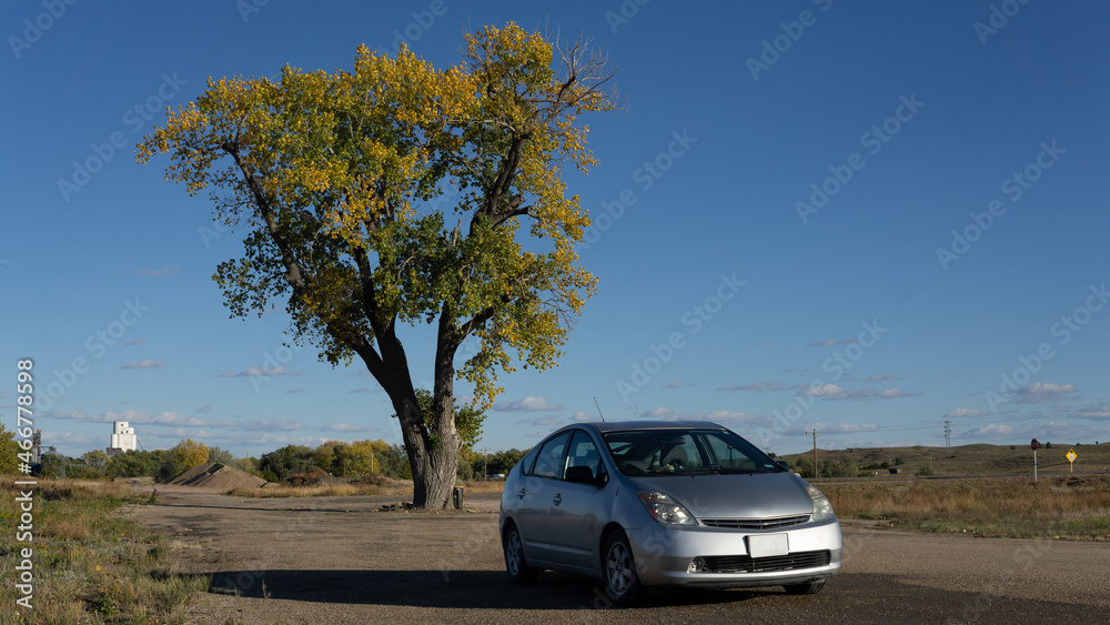 car parked in front of a lone tree