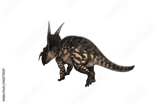 Einiosaurus in different angles and poses rendered on white background  3D rendering illustration.