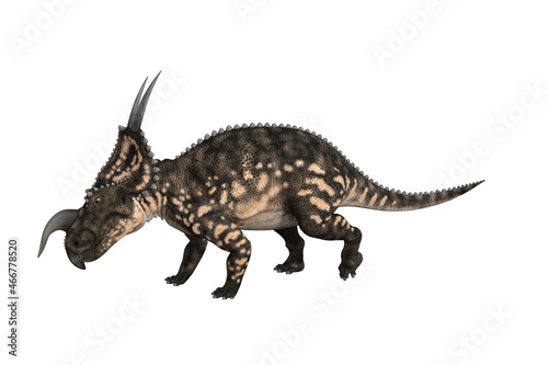 Einiosaurus in different angles and poses rendered on white background  3D rendering illustration.