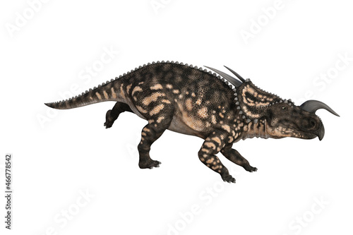 Einiosaurus in different angles and poses rendered on white background, 3D rendering illustration. © W.S. Coda