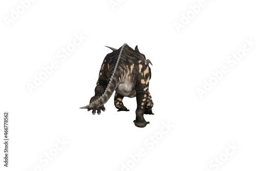 Einiosaurus in different angles and poses rendered on white background  3D rendering illustration.