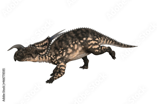 Einiosaurus in different angles and poses rendered on white background  3D rendering illustration.