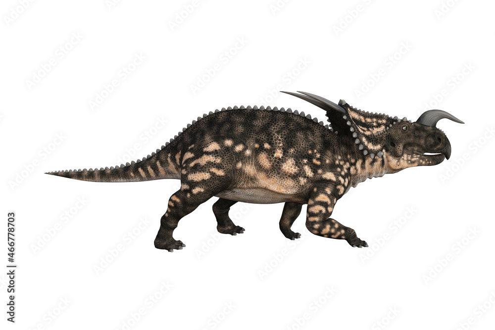 Einiosaurus in different angles and poses rendered on white background, 3D rendering illustration. Einiosaurus in different angles and poses rendered on white background, 3D rendering illustration.