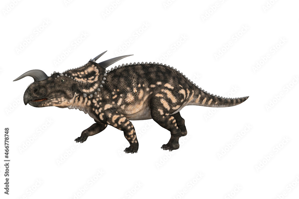Einiosaurus in different angles and poses rendered on white background, 3D rendering illustration. Einiosaurus in different angles and poses rendered on white background, 3D rendering illustration.