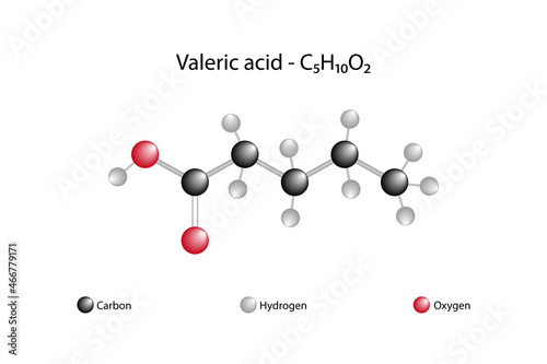Molecular formula of valeric acid. Valeric acid or pentanoic acid is a straight chain alkyl carboxylic acid.