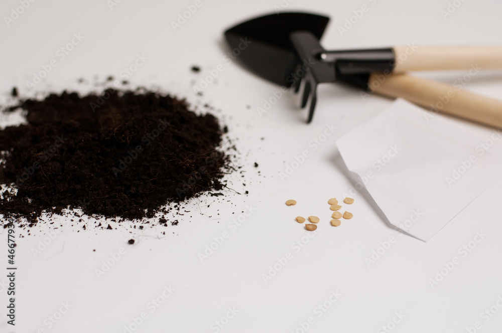 ground for planting seeds, a bag of scattered tomato seeds, and a blurry background with a wooden rake and shovel on a white background ground for planting seeds, a bag of scattered tomato seeds, and a blurry background with a wooden rake and shovel on a white background