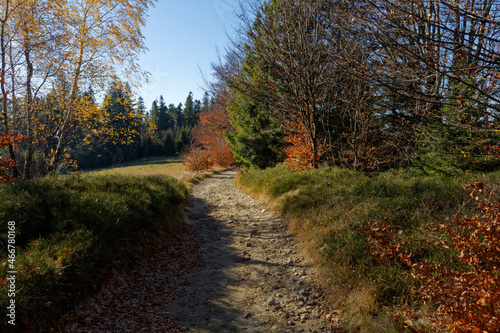 Fototapeta Naklejka Na Ścianę i Meble -  Jesień w Beskidach