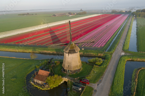 Aerial view of windmill with tulip field in the countryside in Schermerhorn, Noord-Holland, Netherlands. photo