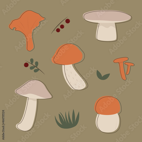 Set of six different mushrooms with berries and grass