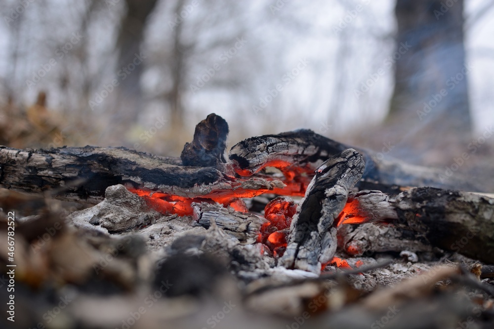 bonfire wood fire flame sparks
bonfire wood fire flame sparks