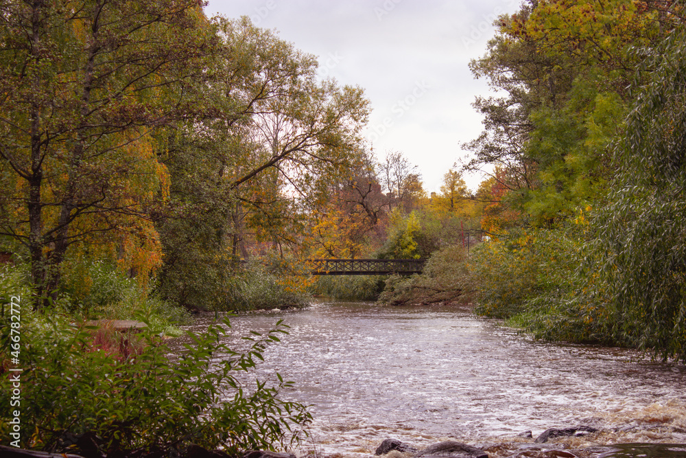 A bridge accros to river with with trees in background. In autumn