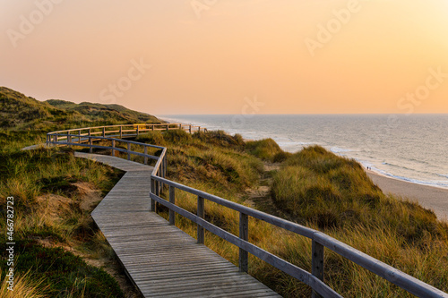 Wooden path to the Beach - Kampen  Sylt
