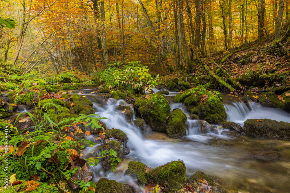 Mountain stream with small and waterfalls in autumn, Zumberak, Croatia