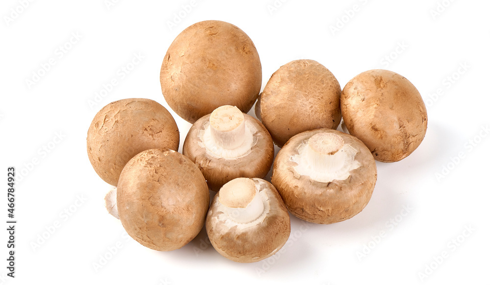 Royal brown champignons, isolated on white background. Royal brown champignons, isolated on white background.
