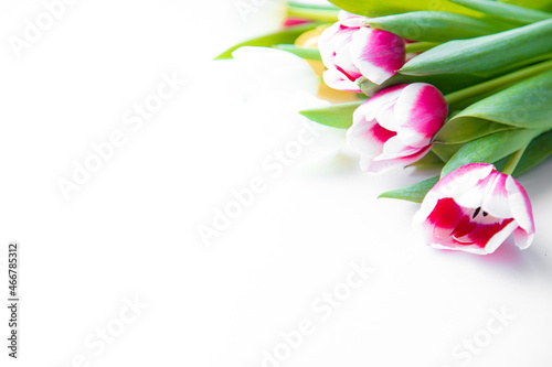 Fototapeta Naklejka Na Ścianę i Meble -  Bouquet of tulips on a white background . Banner with a place for the text. Colored flowers. White background. Copy space