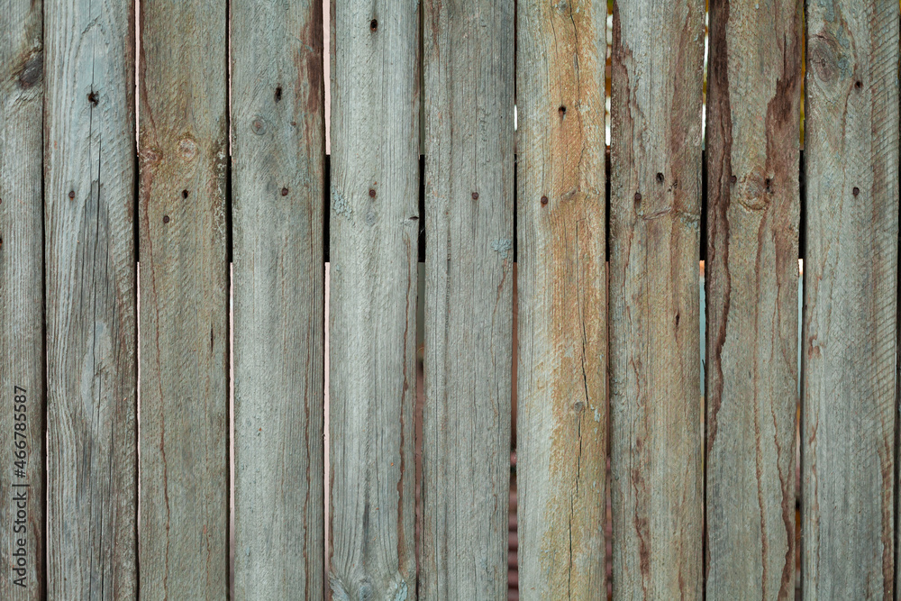 Obraz premium Wooden grey rustic background. Old wooden fence textured background