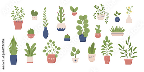 Set of houseplants in pots vector flat illustration. Collection of various plant in ceramic container. Colorful greenery with leaves for home growing. Vector illustration.