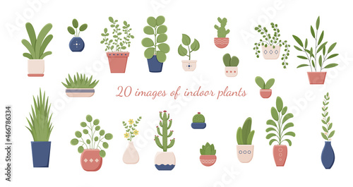 Big set of houseplants isolated. Elements for design. Illustration of houseplants, houseplants and office plants in a pot. Isolated on a white background with the text in the middle. Vector.