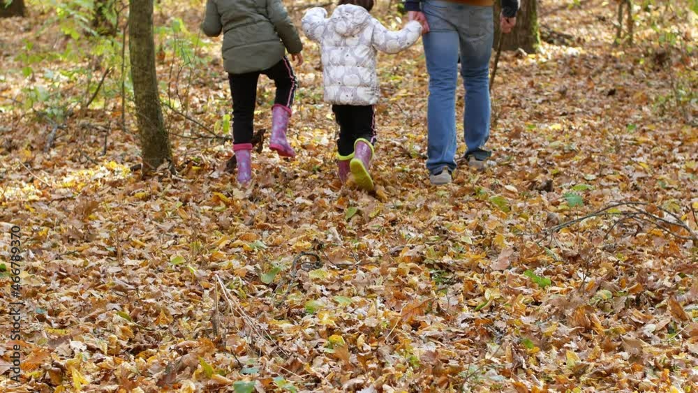 The family walks through the forest looking for mushrooms. Dad and his daughters are walking in the woods. The family walks through the forest looking for mushrooms. Dad and his daughters are walking in the woods.