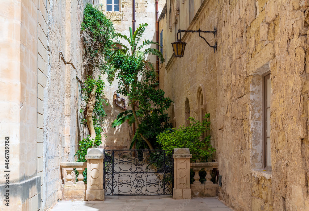 Lush green plants surrounded by limestone walls of Mdina town, Malta.
