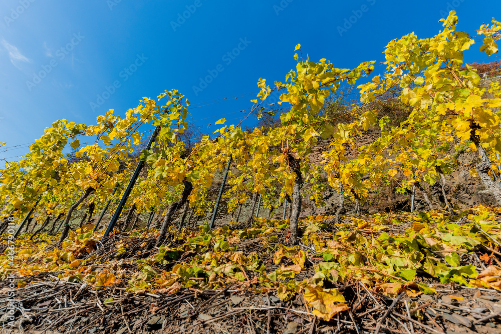 Naklejka premium Herbstlandschaft