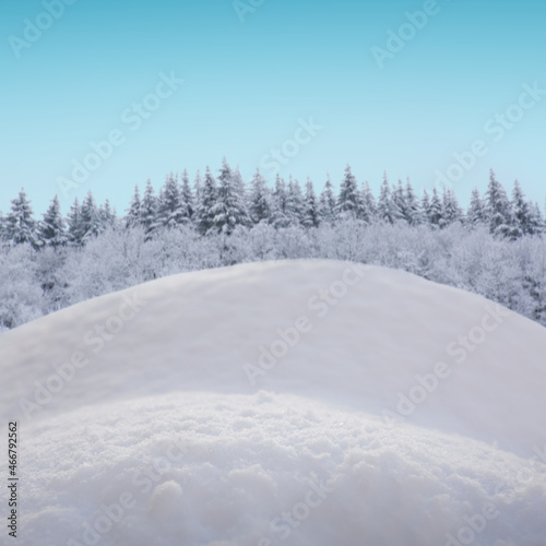 Christmas snow background in blue tone isolated on winter forest .