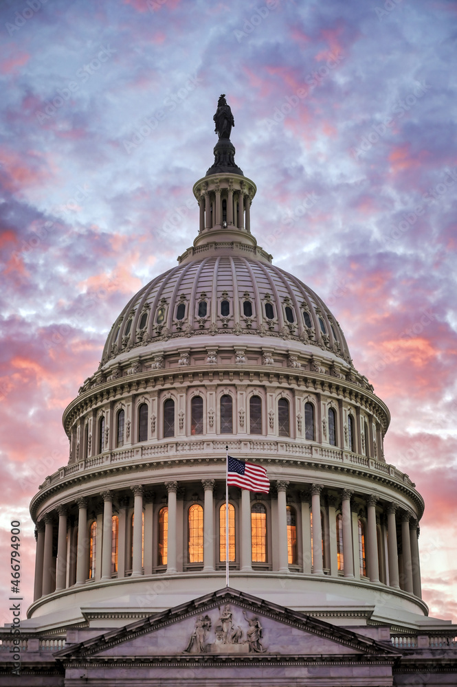 The United States Capitol in Washington, D.C.