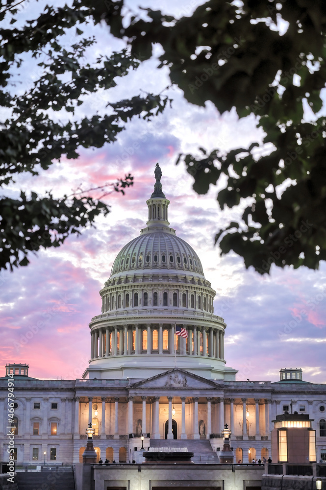 The United States Capitol in Washington, D.C.