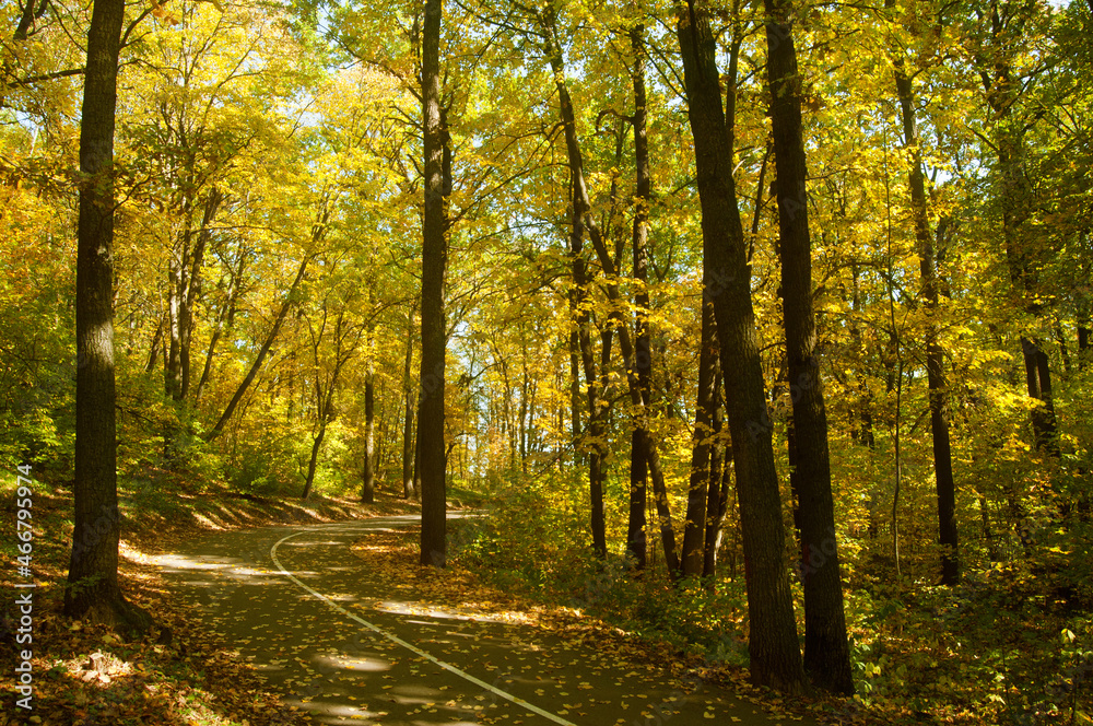 Autumn park on a sunny day.