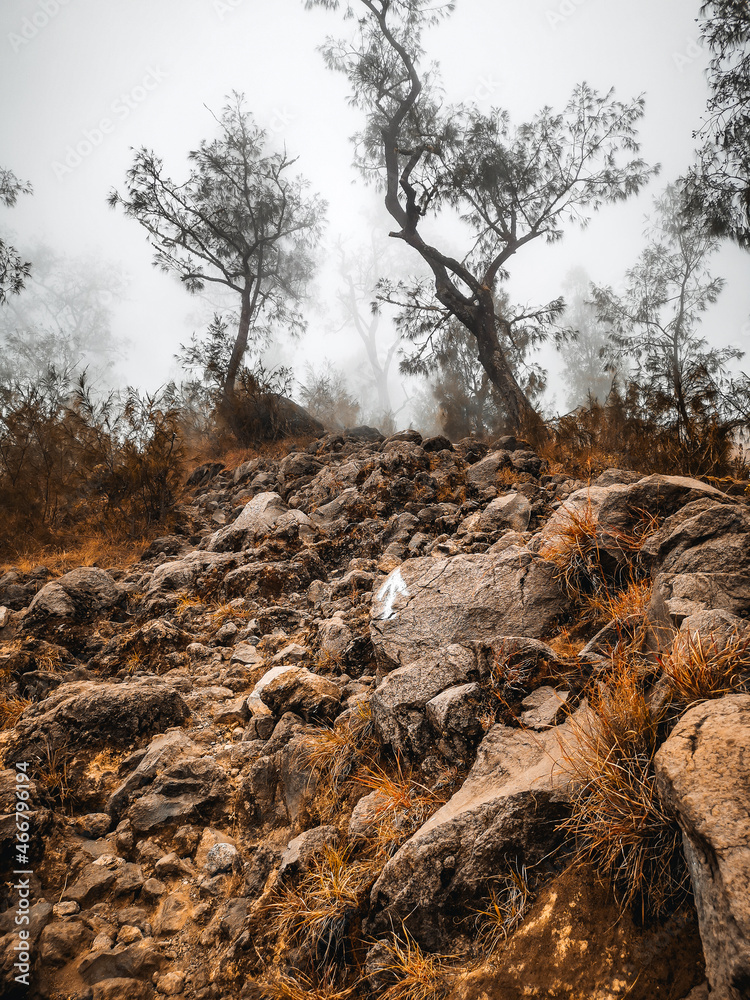 Obraz premium Rinjani Vulkan Indonesien