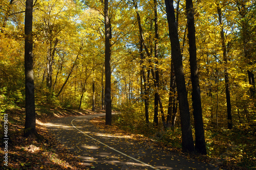 Autumn landscape in a city pack with trees with yellow foliage.