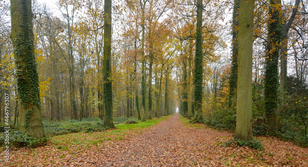 Obraz premium Beautiful view of Enghien park