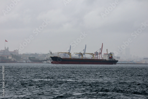 cargo ship in the Bosporus strait with Istanbul city view on background © Sergei Timofeev