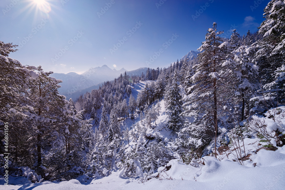 Schneelandschaft mit alpinem Bergpanorama in den Bayerischen Alpen in einem Erholungsgebiet mit Wald an einem sonnigen Tag 