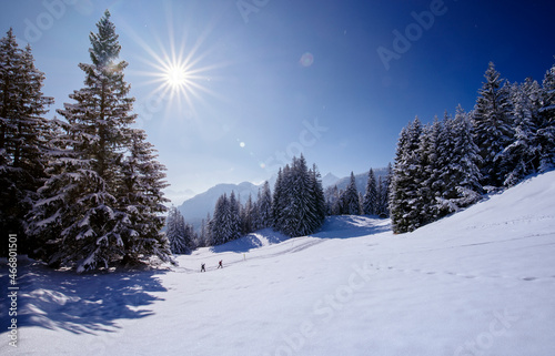 Traditioneller Skilanglauf Sport in winterlicher Schneelandschaft mit alpinem Bergpanorama in den Bayerischen Alpen an einem sonnigen Tag  © HLPhoto