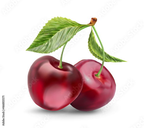 Realistic cherry with fresh leaves  red juicy on a white background for design.