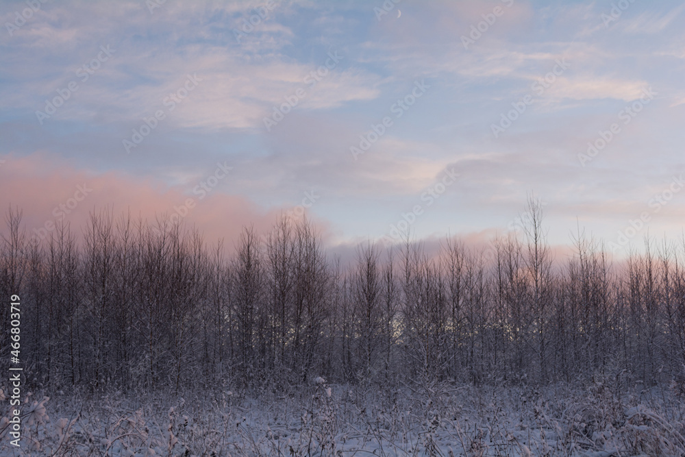 winter countryside landscape at sunset. snowy field and trees. nature in winter season winter countryside landscape at sunset. snowy field and trees. nature in winter season