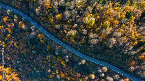Beautiful autumn forest landscape with winding mountain road. Top view drone shot. Beautiful autumn colors.