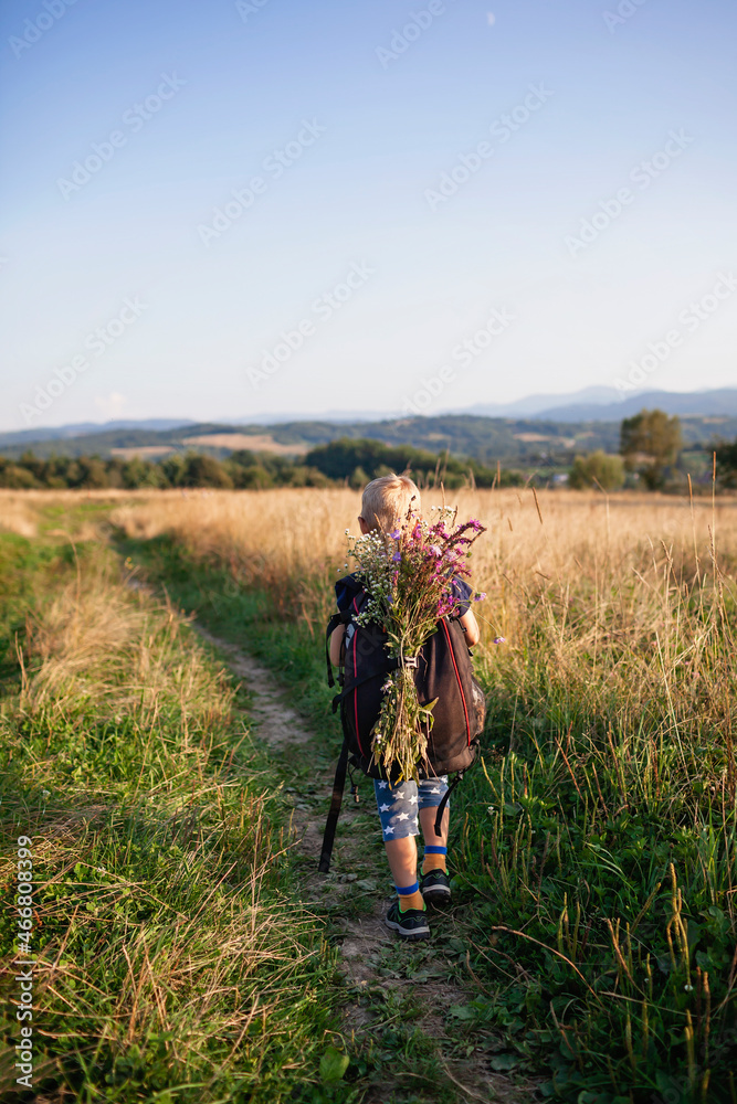 Little hiker with backpack comes from the mountain and carries a bouquet of wildflowers that he collected for his mother, path among wheat, gorgeous landscape, beauty of nature, view from behind