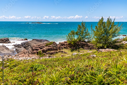 Beach view with waves, rocks and vegetation