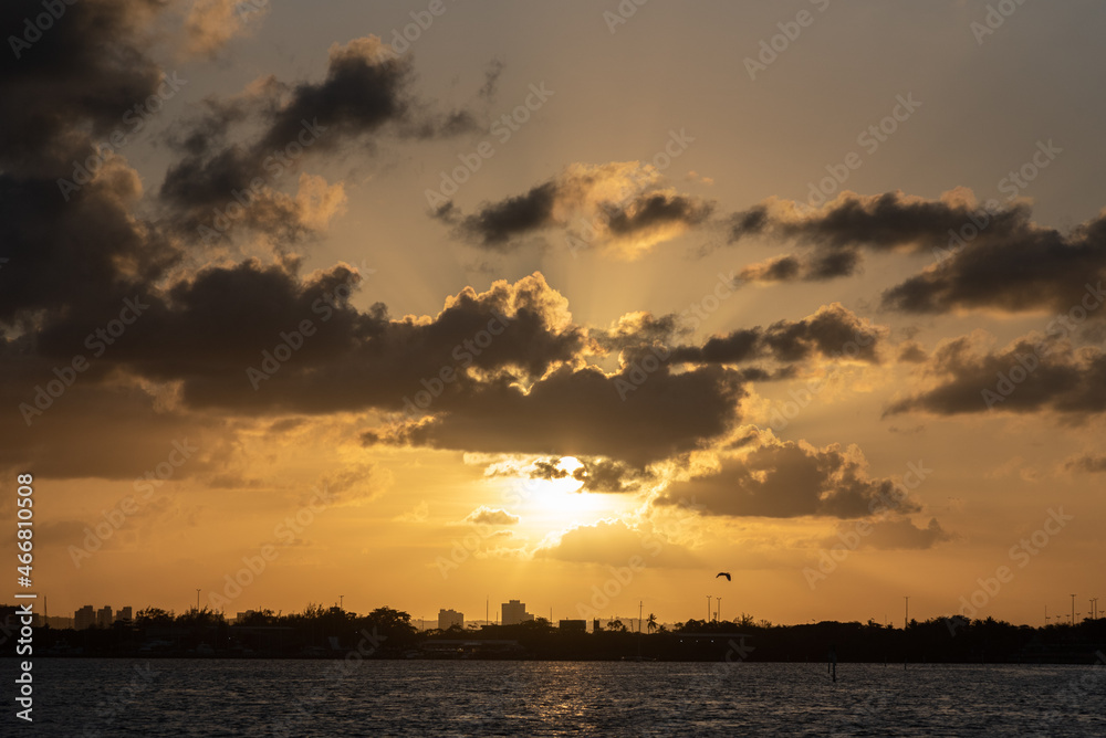 Obraz premium sunset in the city